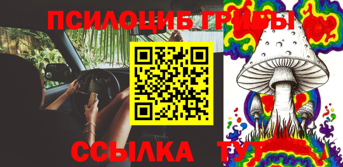 Псилоцибиновые грибы Cubensis  Вход с VPN  Галлюциногенные грибы GOLDEN TEACHER  Тавда 