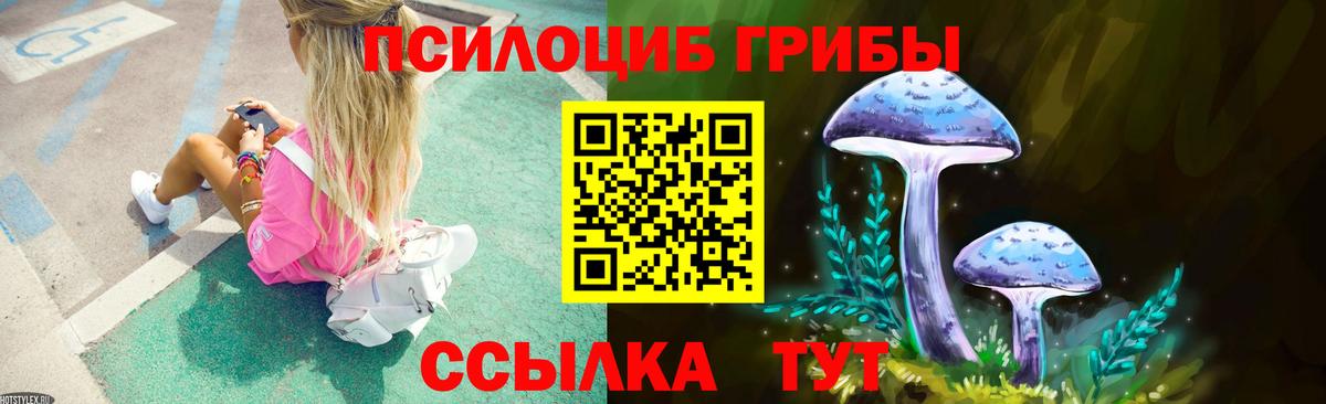 Псилоцибиновые грибы прущие грибы Тавда